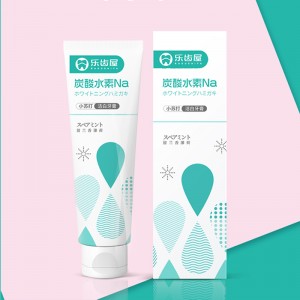 最新 OEM 小苏打牙膏 200 克防蛀健康牙齿薄荷薄荷型