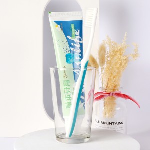 Fabricant chinois de dentifrice personnalisé à base de plantes naturelles, 90g/100g/120g/150g/180g